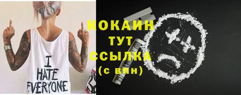 сколько стоит  Великие Луки  COCAIN Эквадор 